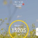 금생춘 도통점 이미지