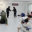 아레나주짓수 이미지