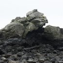 강정동-54 이미지