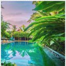 캄보식당 이미지