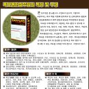 뿌리정보미디어