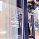 너를닮은케이크 | 대전 유성구 반려동물 전신 입체 케이크 맛집 , 너를닮은케이크 주문제작