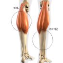 스튜디오 포미 이미지