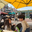 카스빌리지2 | 에버랜드 포시즌스가든 식당 홀랜드빌리지 메뉴 가격 총정리｜4살 5살 아이랑 밥먹기 좋은 곳