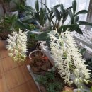 대명반점 이미지