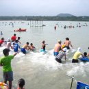 표선백사로 이미지