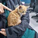 바른길동물병원 이미지