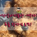 개코마을 네이버블로그