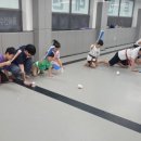 용인대 한울 태권도장 이미지