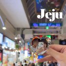 배고픈 모찌 | [2025 제주 ⑤] 서귀포 올레시장에 등장한 푸드파이터 (제성제과 만두빵/ 기름떡/ 감귤모찌/회포장)