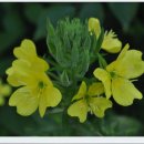 피서농장 이미지