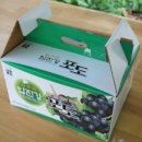 새한농원 이미지