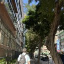 오페라 <마을벤치> | 승무원하길 참 잘했다, 동생과 함께한 대만 3박4일 여행기 2일차