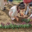 관문초등학교 이미지