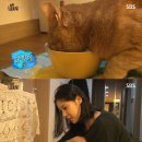 화남농장 이미지