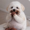 이유바이