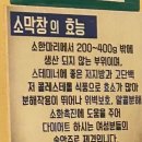 성원PC | [부산 광안동]성원정양대창 - 직접 구워주는 특양구이&amp;대창, 솔직한 후기