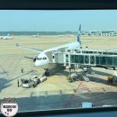 제일여객㈜ | [일본여행] 도쿄 in out 파라타항공 후기(터미널, 좌석, 기내식)/ 면세점 추천템(할인꿀팁)/ 나리타공항...