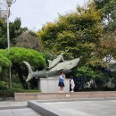 고래포 | 부산 아이랑 실내 부산해양사자연박물관 무료