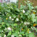 부흥회식당 이미지