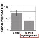 전립상회 이미지