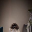 서초대로 55-9 이미지