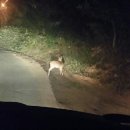 강화바다낚시터 이미지