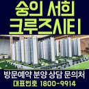 크루즈시티
