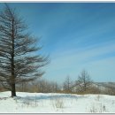 세심목장 이미지