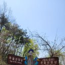 [ 경기도 가볼만한곳 ] 양평 짧지만 경사는 만만치 않아 강력했던 추읍산 최단코스 등산 정보