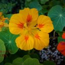 행정사 김동진 사무소 이미지