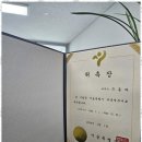 세무회계동하 이미지