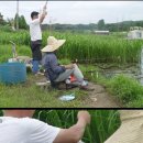 죽산 낚시터 이미지