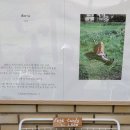 카페만디 이미지