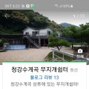 고고월드크루즈야 이미지
