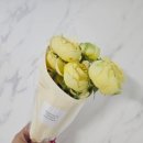 퀸플라워 이미지