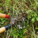 강원장의사 이미지