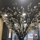 아비꼬 보라매점 이미지