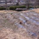 양평공인중개사사무소 이미지