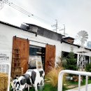 삼진목장 이미지