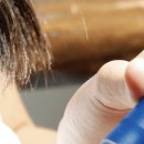 대우당동물약국 이미지