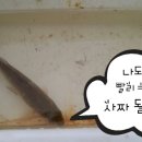 산속 조그만 소류지 이미지