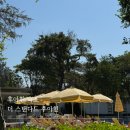 더 스탠다드 짐 | 후아힌 숙소 추천 더 스탠다드 호텔 이용 후기