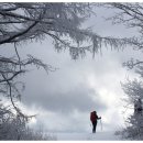 바람개비 이미지