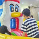 용인대 정심태권도 이미지