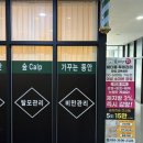 문정 다이어트관리 테라노바 에너지테라피 복부관리 후기