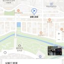 살롱드몽몽 | 콩이 첫 배냇미용 -살롱드몽몽-