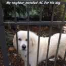 멍멍이집 이미지