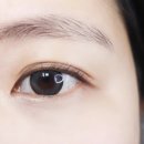 블랙스완래쉬 이미지