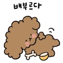 다니워리 이미지